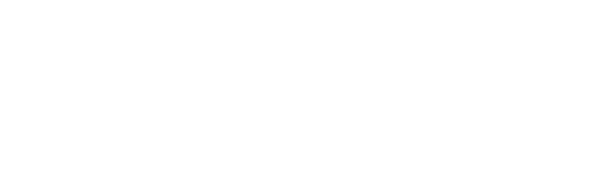 Deep Access Logo (White)